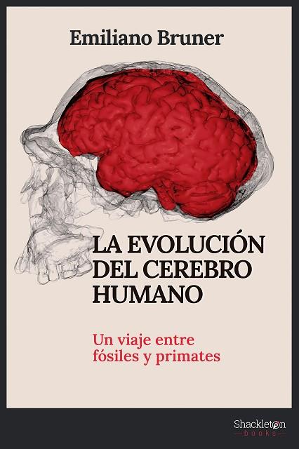 LA EVOLUCIÓN DEL CEREBRO HUMANO | 9788413612249 | BRUNER, EMILIANO | Llibres Parcir | Llibreria Parcir | Llibreria online de Manresa | Comprar llibres en català i castellà online