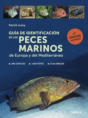 GUIA DE IDENTIFICACION DE LOS PECES MARINOS DE EUROPA | 9788428217774 | PATRICK LOUISY | Llibres Parcir | Llibreria Parcir | Llibreria online de Manresa | Comprar llibres en català i castellà online