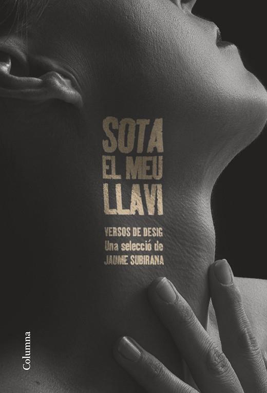 SOTA EL MEU LLAVI | 9788466432177 | SUBIRANA ORTÍN, JAUME | Llibres Parcir | Librería Parcir | Librería online de Manresa | Comprar libros en catalán y castellano online