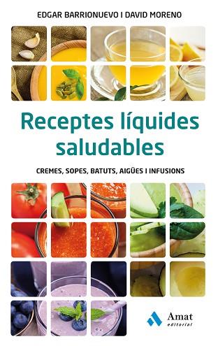 RECEPTES LÍQUIDES SALUDABLES | 9788497358828 | BARRIONUEVO BURGOS, EDGAR/MORENO MELER, DAVID | Llibres Parcir | Llibreria Parcir | Llibreria online de Manresa | Comprar llibres en català i castellà online