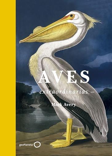 AVES EXTRAORDINARIAS | 9788408181477 | AVERY, MARK | Llibres Parcir | Llibreria Parcir | Llibreria online de Manresa | Comprar llibres en català i castellà online