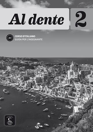 AL DENTE 2 LIBRO DEL PROFESOR | 9788416657766 | BERTACCHINI, MADDALENA / DE GIROLAMO, CRISTINA / TEA, ELENA | Llibres Parcir | Llibreria Parcir | Llibreria online de Manresa | Comprar llibres en català i castellà online