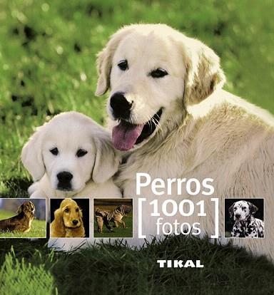 PERROS 1001 FOTOS | 9788499280851 | HUART, FRANÇOISE/ROY, SÉGOLÈNE | Llibres Parcir | Llibreria Parcir | Llibreria online de Manresa | Comprar llibres en català i castellà online