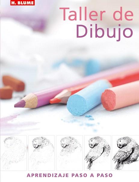 TALLER DE DIBUJO | 9788496669031 | WATSON, LUCY | Llibres Parcir | Llibreria Parcir | Llibreria online de Manresa | Comprar llibres en català i castellà online