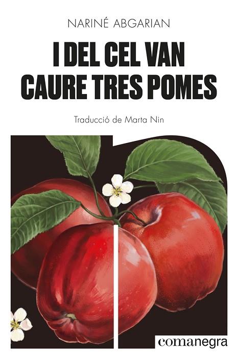 I DEL CEL VAN CAURE TRES POMES | 9788418857041 | ABGARIAN, NARINÉ | Llibres Parcir | Llibreria Parcir | Llibreria online de Manresa | Comprar llibres en català i castellà online