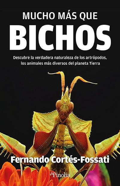 MUCHO MÁS QUE BICHOS | 9788419878496 | FERNANDO CORTÉS FOSSATI | Llibres Parcir | Llibreria Parcir | Llibreria online de Manresa | Comprar llibres en català i castellà online