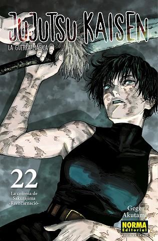 JUJUTSU KAISEN 22 CATALA | 9788467969948 | AKUTAMI, GEGE | Llibres Parcir | Llibreria Parcir | Llibreria online de Manresa | Comprar llibres en català i castellà online