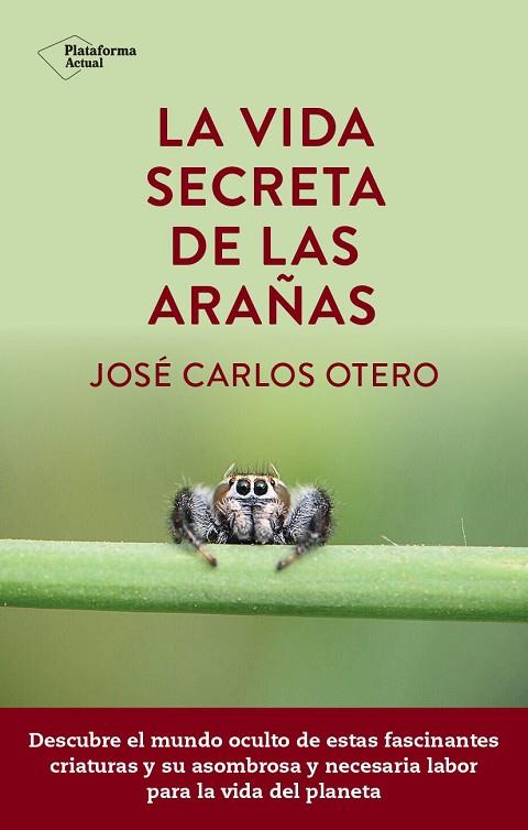 LA VIDA SECRETA DE LAS ARAÑAS | 9788419655189 | OTERO, JOSÉ CARLOS | Llibres Parcir | Llibreria Parcir | Llibreria online de Manresa | Comprar llibres en català i castellà online