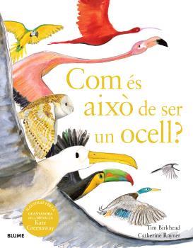 COM ÉS AIXÒ DE SER UN OCELL? | 9788410048102 | BIRKHEAD, TIM/RAYNER, CATHERINE | Llibres Parcir | Llibreria Parcir | Llibreria online de Manresa | Comprar llibres en català i castellà online