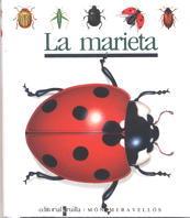 MARIETA | 9788476295250 | Llibres Parcir | Llibreria Parcir | Llibreria online de Manresa | Comprar llibres en català i castellà online