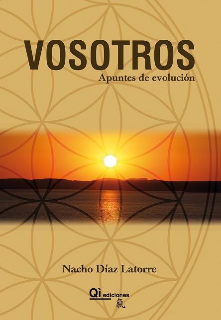 VOSOTROS. APUNTES DE EVOLUCIÓN | PODI112328 | DÍAZ LATORRE  JOSÉ IGNACIO | Llibres Parcir | Llibreria Parcir | Llibreria online de Manresa | Comprar llibres en català i castellà online