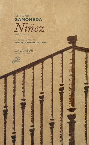 NIÑEZ | 9788483593653 | GAMONEDA, ANTONIO | Llibres Parcir | Llibreria Parcir | Llibreria online de Manresa | Comprar llibres en català i castellà online