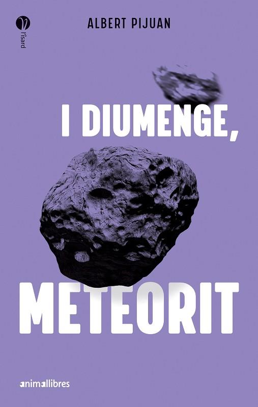 I DIUMENGE, METEORIT | 9788419659415 | ALBERT PIJUAN | Llibres Parcir | Llibreria Parcir | Llibreria online de Manresa | Comprar llibres en català i castellà online