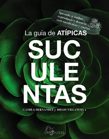 LA GUÍA DE ATÍPICAS SUCULENTAS | 9788419436603 | HERNÁNDEZ, CAMILA/VILLANUEVA, DIEGO | Llibres Parcir | Llibreria Parcir | Llibreria online de Manresa | Comprar llibres en català i castellà online