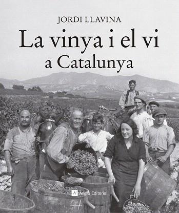 LA VINYA I EL VI A CATALUNYA | 9788416139187 | LLAVINA, JORDI | Llibres Parcir | Llibreria Parcir | Llibreria online de Manresa | Comprar llibres en català i castellà online