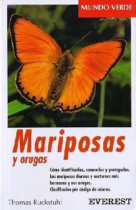 MARIPOSAS Y ORUGAS | 9788424127572 | RUCKSTUHL | Llibres Parcir | Librería Parcir | Librería online de Manresa | Comprar libros en catalán y castellano online