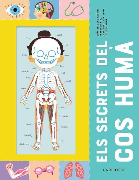 ELS SECRETS DEL COS HUMÀ | 9788418473227 | ÉDITIONS LAROUSSE | Llibres Parcir | Llibreria Parcir | Llibreria online de Manresa | Comprar llibres en català i castellà online