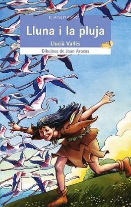 LLUNA I LA PLUJA | 9788476609644 | VALLES | Llibres Parcir | Llibreria Parcir | Llibreria online de Manresa | Comprar llibres en català i castellà online