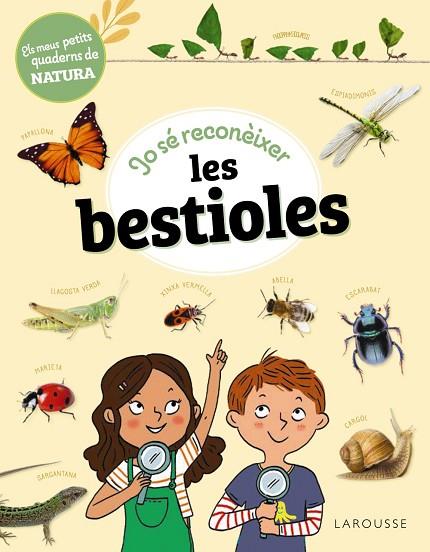 JO SÉ RECONÈIXER LES BESTIOLES | 9788419436283 | LEBRUN, SANDRA | Llibres Parcir | Llibreria Parcir | Llibreria online de Manresa | Comprar llibres en català i castellà online