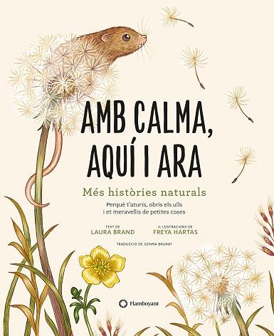 AMB CALMA, AQUÍ I ARA | 9788419401120 | BRAND, LAURA | Llibres Parcir | Llibreria Parcir | Llibreria online de Manresa | Comprar llibres en català i castellà online