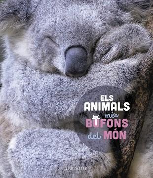 ELS ANIMALS MÉS BUFONS DEL MÓN | 9788419436184 | LEDU, STÉPHANIE | Llibres Parcir | Llibreria Parcir | Llibreria online de Manresa | Comprar llibres en català i castellà online