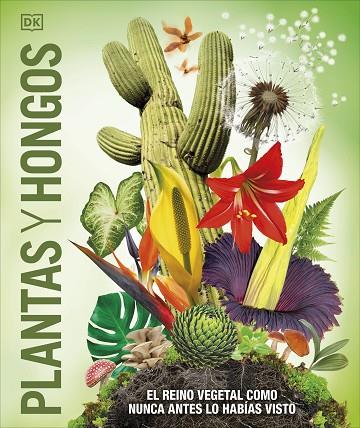 PLANTAS Y HONGOS (MUNDO 3D) | 9780241702956 | DK | Llibres Parcir | Llibreria Parcir | Llibreria online de Manresa | Comprar llibres en català i castellà online