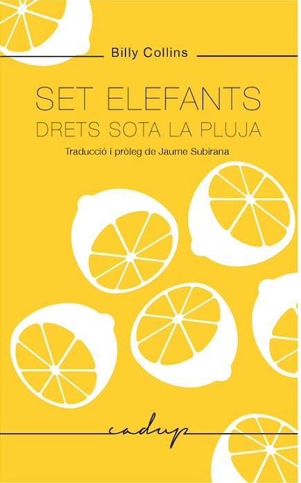 SET ELEFANTS DRETS SOTA LA PLUJA | 9788494943218 | COLLINS, BILLY | Llibres Parcir | Librería Parcir | Librería online de Manresa | Comprar libros en catalán y castellano online