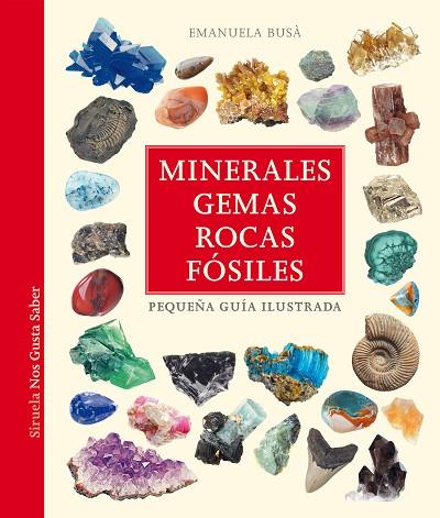 MINERALES, GEMAS, ROCAS Y FÓSILES | 9788419419866 | BUSÀ, EMANUELA | Llibres Parcir | Llibreria Parcir | Llibreria online de Manresa | Comprar llibres en català i castellà online