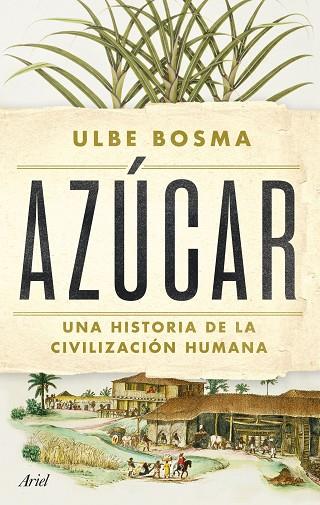 AZÚCAR | 9788434438286 | BOSMA, ULBE | Llibres Parcir | Llibreria Parcir | Llibreria online de Manresa | Comprar llibres en català i castellà online