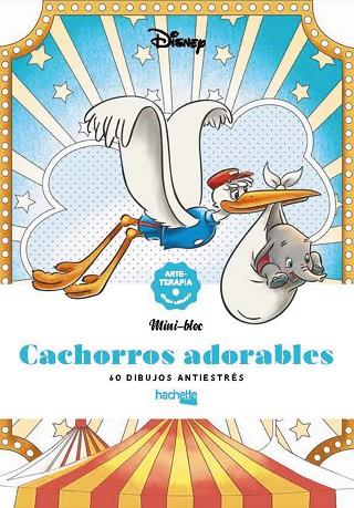 CACHORROS ADORABLES | 9788419804341 | VARIOS AUTORES | Llibres Parcir | Llibreria Parcir | Llibreria online de Manresa | Comprar llibres en català i castellà online