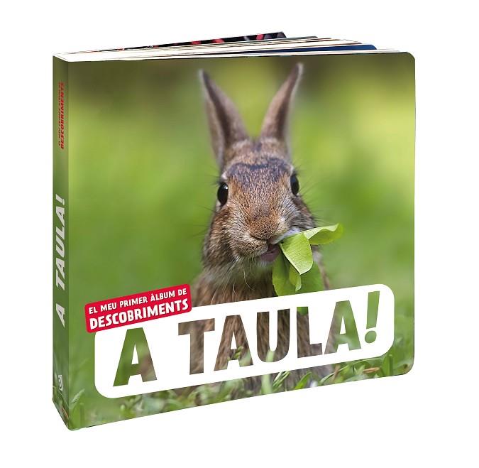 A TAULA! | 9788418762710 | NATURAGENCY | Llibres Parcir | Librería Parcir | Librería online de Manresa | Comprar libros en catalán y castellano online
