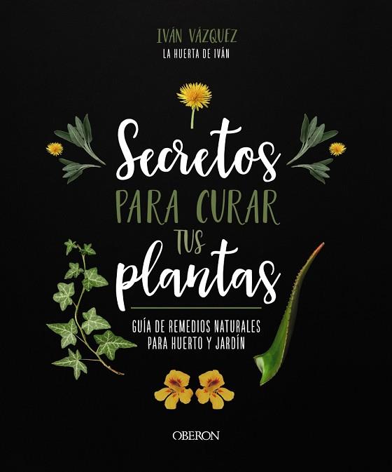 SECRETOS PARA CURAR TUS PLANTAS | 9788441547162 | VÁZQUEZ MUÑOZ, IVÁN | Llibres Parcir | Llibreria Parcir | Llibreria online de Manresa | Comprar llibres en català i castellà online