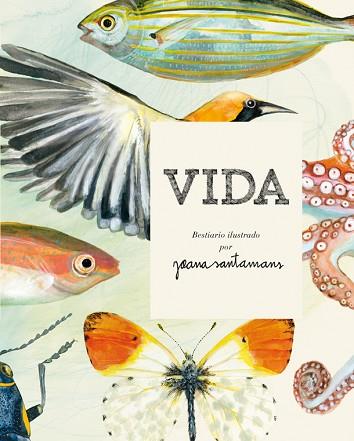 VIDA. BESTIARIO ILUSTRADO POR JOANA SANTAMANS | 9788416670017 | SANTAMANS, JOANA | Llibres Parcir | Llibreria Parcir | Llibreria online de Manresa | Comprar llibres en català i castellà online