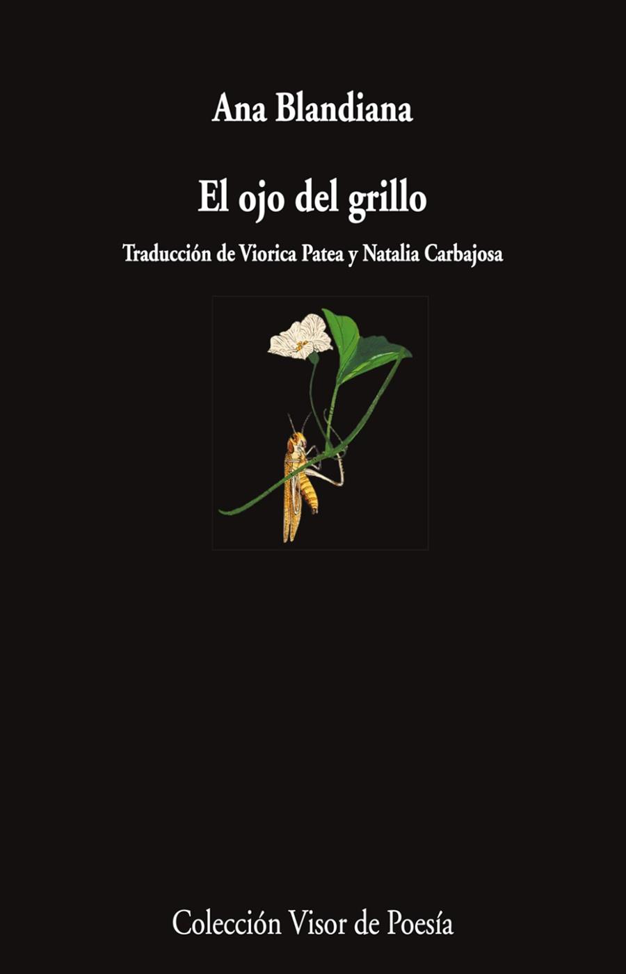 EL OJO DEL GRILLO | 9788498955750 | BLANDIANA, ANA | Llibres Parcir | Llibreria Parcir | Llibreria online de Manresa | Comprar llibres en català i castellà online