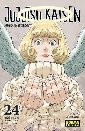 JUJUTSU KAISEN 24 | 9788467967319 | AKUTAMI, GEGE | Llibres Parcir | Llibreria Parcir | Llibreria online de Manresa | Comprar llibres en català i castellà online