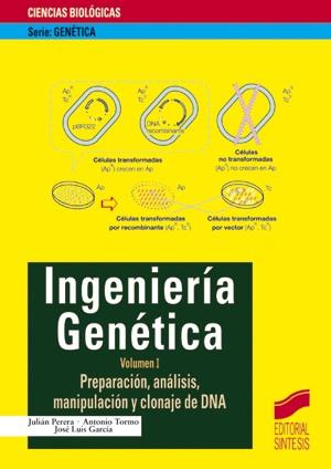 Ingeniería genética. Vol. I | 9788477389644 | Perera, J./ Tormo, A./ García, J.L. | Llibres Parcir | Llibreria Parcir | Llibreria online de Manresa | Comprar llibres en català i castellà online