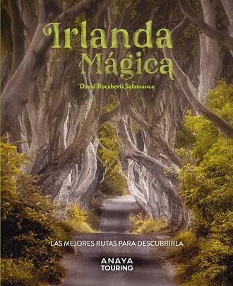 IRLANDA MÁGICA | 9788491587224 | ROCABERTI, DAVID | Llibres Parcir | Llibreria Parcir | Llibreria online de Manresa | Comprar llibres en català i castellà online