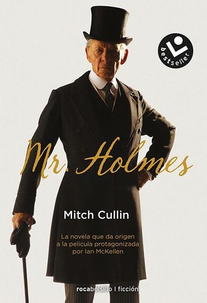 MR. HOLMES | 9788416240258 | CULLIN, MITCH | Llibres Parcir | Llibreria Parcir | Llibreria online de Manresa | Comprar llibres en català i castellà online