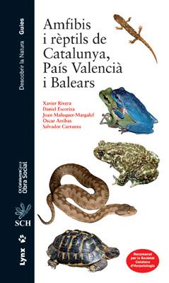 AMFIBIS I REPTILS DE CATALUNYA PAIS VALENCIA I BALEAR | 9788496553538 | XAVIER RIERA DANIEL ESCORIZA | Llibres Parcir | Llibreria Parcir | Llibreria online de Manresa | Comprar llibres en català i castellà online