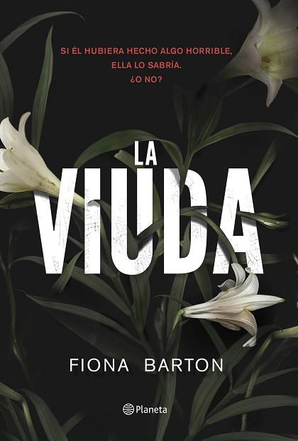 LA VIUDA | 9788408155546 | FIONA BARTON | Llibres Parcir | Llibreria Parcir | Llibreria online de Manresa | Comprar llibres en català i castellà online