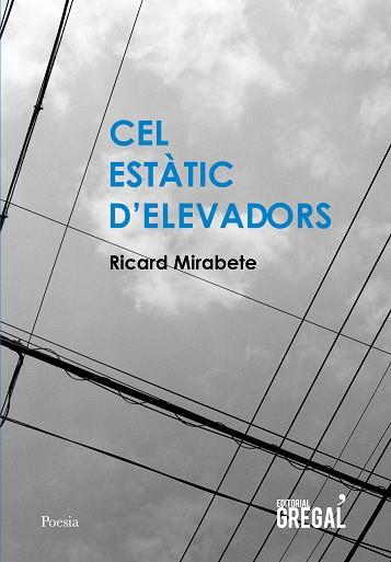 CEL ESTÀTIC D' ELEVADORS | 9788494564819 | MIRABETE, RICARD | Llibres Parcir | Llibreria Parcir | Llibreria online de Manresa | Comprar llibres en català i castellà online