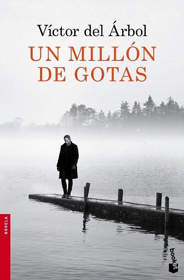 UN MILLÓN DE GOTAS | 9788423349418 | VÍCTOR DEL ÁRBOL | Llibres Parcir | Llibreria Parcir | Llibreria online de Manresa | Comprar llibres en català i castellà online