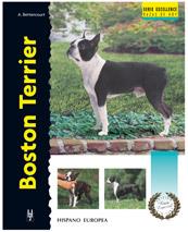 BOSTON TERRIER | 9788425514234 | BETTENCOURT | Llibres Parcir | Llibreria Parcir | Llibreria online de Manresa | Comprar llibres en català i castellà online