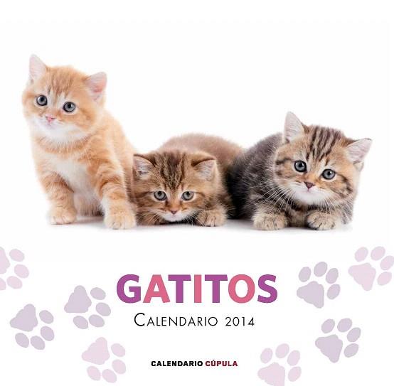 CALENDARIO GATITOS 2014 | 9788448011680 | AA. VV. | Llibres Parcir | Llibreria Parcir | Llibreria online de Manresa | Comprar llibres en català i castellà online