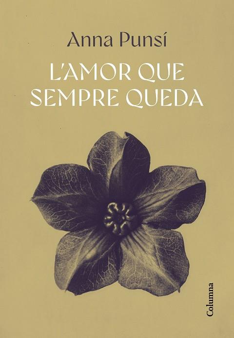 L'AMOR QUE SEMPRE QUEDA | 9788466432382 | PUNSÍ LLADÓ, ANNA | Llibres Parcir | Llibreria Parcir | Llibreria online de Manresa | Comprar llibres en català i castellà online