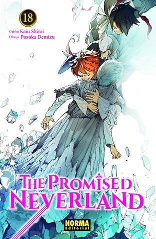 THE PROMISED NEVERLAND 18 | 9788467943733 | KAIU SHIRAI/ POSUKA DEMIZU | Llibres Parcir | Llibreria Parcir | Llibreria online de Manresa | Comprar llibres en català i castellà online