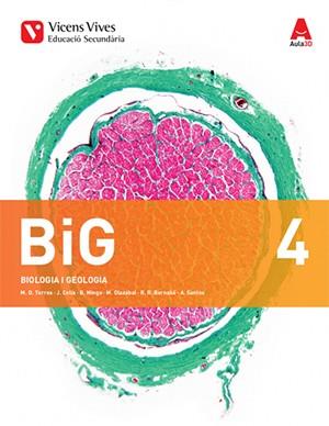 BIG 4+ BIG 4 DOSSIER | 9788468242026 | TORRES LOBEJON, Mª DOLORES / CELIS SANCHEZ, JESUS / MINGO ZAPATERO, BLANCA / OLAZABAL MORAN, MANUEL  | Llibres Parcir | Llibreria Parcir | Llibreria online de Manresa | Comprar llibres en català i castellà online