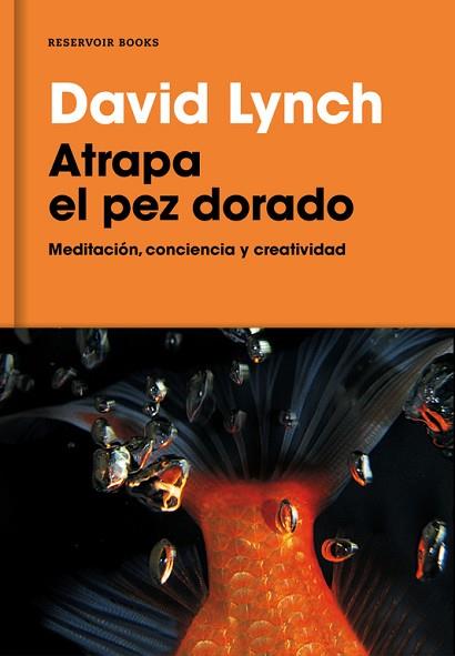 ATRAPA EL PEZ DORADO | 9788416709014 | LYNCH, DAVID | Llibres Parcir | Llibreria Parcir | Llibreria online de Manresa | Comprar llibres en català i castellà online