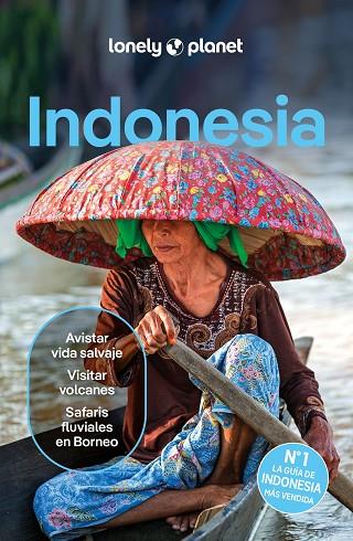 INDONESIA 6 | 9788408291190 | D'ARCY, JAYNE/EIMER, DAVID/HARDING, PAUL/JOHANSON, MARK/LEE, JASON/ST.LOUIS, REGIS/BERKMOES, RYAN VE | Llibres Parcir | Llibreria Parcir | Llibreria online de Manresa | Comprar llibres en català i castellà online