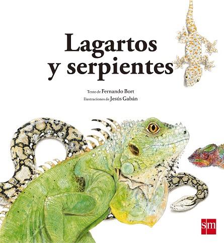 LAGARTOS Y SERPIENTES | 9788467573947 | BORT MISOL, FERNANDO | Llibres Parcir | Llibreria Parcir | Llibreria online de Manresa | Comprar llibres en català i castellà online